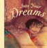 Into Your Dreams (Meadowside (Arlin))