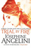 Trial By Fire (Worldwalker)