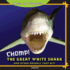 Chomp! : the Great White Shark and Other Animals That Bite (Armed and Dangerous)