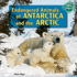 Endangered Animals of Antarctica and the Arctic (Save Earth's Animals! )