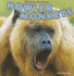 Howler Monkeys (Monkey Business)