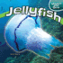 Jellyfish (Under the Sea)