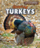 Hunting Turkeys (Let's Go Hunting)
