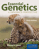 Essential Genetics: a Genomics Perspective: a Genomics Perspective