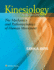 Kinesiology the Mechanics and Pathomechanics of Human Movement