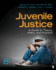 Juvenile Justice: A Guide to Theory, Policy, and Practice