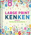 Large Print Kenken