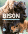 Bison: Community Builders and Grassland Caretakers (Orca Wild, 17)