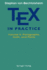 TEX in Practice: Volume II: Paragraphs, Math and Fonts