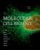 Molecular Cell Biology (Exam Copy)