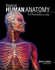 Regional Human Anatomy