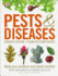 Pests and Diseases