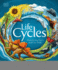 Life Cycles: Everything From Start to Finish (Dk Life Cycles)