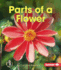 Parts of a Flower Format: Paperback