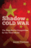Shadow Cold War: the Sino-Soviet Competition for the Third World (New Cold War History)