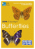 Rspb Id Spotlight-Butterflies