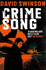 Crime Song: a Gritty Crime Thriller By an Ex-Detective