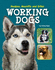 Huskies Mastiffs & Other Working