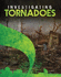 Investigating Tornadoes (Edge Books: Investigating Natural Disasters)