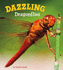 Dazzling Dragonflies (a+ Books: Marvellous Minibeasts! )