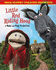 Sock Puppet Theatre: Sock Puppet Theatre Presents Little Red Riding Hood: a Make & Play Production