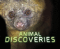 Marvellous Discoveries: Animal Discoveries