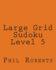 Large Grid Sudoku Level 5: Medium to Moderate Sudoku Puzzles