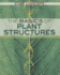 The Basics of Plant Structures