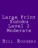 Large Print Sudoku Level 2 Moderate: 80 Easy to Read, Large Print Sudoku Puzzles