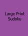 Large Print Sudoku: Easy to Moderate, Vol. 2: Enjoyable, Large Grid Puzzles