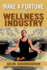 Make a Fortune in the Wellness Industry: How to Initiate, Participate and Profit from the Trillion Dollar Wellness Healthcare Revolution