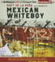 Mexican Whiteboy (Audio Cd)