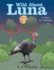 Wild About Luna: A Book for Children