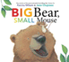 Big Bear, Small Mouse (the Bear Books)