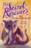 The Storm Dragon (1) (the Secret Rescuers)
