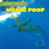 Whale Poop (Nature's Grossest)