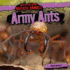 Army Ants (Bad to the Bone: Nastiest Animals, 1)