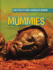 Mummies (100 Facts You Should Know)