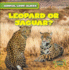 Leopard Or Jaguar? (Animal Look-Alikes, 4)