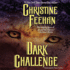 Dark Challenge (Dark Series, Book 5) (Carpathian Novels)