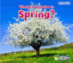 What Can You See in Spring? (Seasons: Acorn)