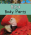 Bird Body Parts