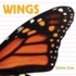 Wings (Whose is It? )