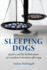 Sleeping Dogs