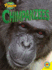 Chimpanzees (Amazing Primates)