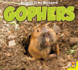 Gophers (Animals in My Backyard)