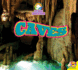 Caves (Exploring Ecosystems)