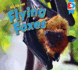 All About Flying Foxes (Eyediscover)