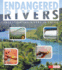 Endangered Rivers: Investigating Rivers in Crisis (Endangered Earth)