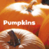 Pumpkins (Celebrate Fall)